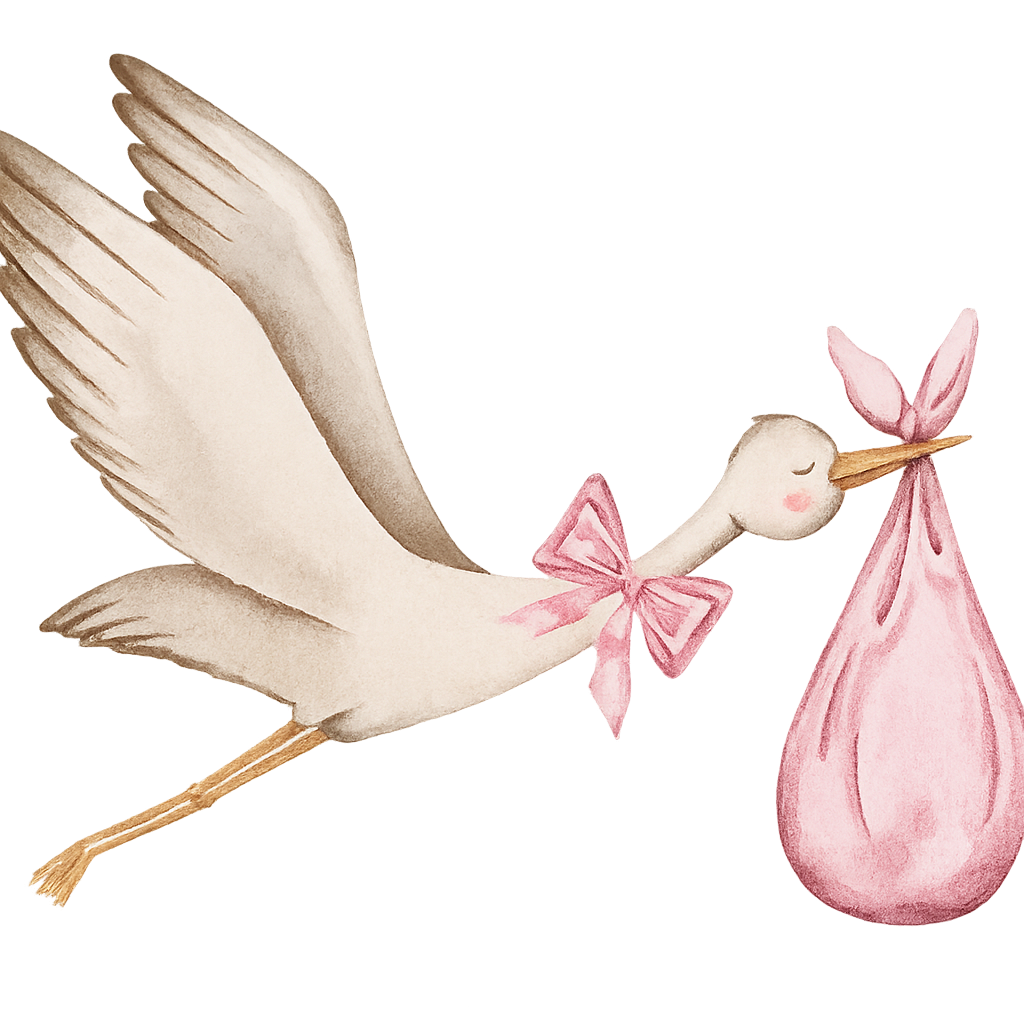 Pink Stork